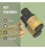 Fragrance Oil Lemongrass Home Fragrances 15 Ml