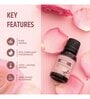 Fragrance Oil Rose  Home Fragrances 15 Ml