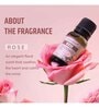 Fragrance Oil Rose  Home Fragrances 15 Ml