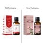 Fragrance Oil Rose  Home Fragrances 15 Ml