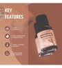 Fragrance Oil Sandalwood Home Fragrances 15 Ml
