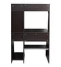 Frances Hutch Desk in Wenge Finish