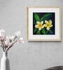 Frangipani  Handmade Acrylic Paint On Canvas Unframed