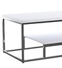 Frannie Coffee Table in White Colour