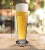 Freddo Set of 6 Crystal Lead Free Glass 265ml Beer Glasses