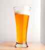 Freddo Set of 6 Crystal Lead Free Glass 265ml Beer Glasses
