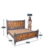 Frediano King Size Bed In Dual Tone