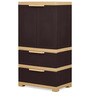 Freedom Plastic Kids 2 Door Medium Wardrobe In Weather Brown & Biscuit Colour