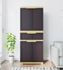 Freedom Plastic Cabinet With 1 Drawer In Weather Brown Colour