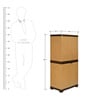 Freedom Plastic Shoe Cabinet in Sandy Brown & Dark Brown Finish