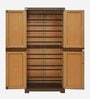 Freedom Plastic Shoe Cabinet in Sandy Brown & Dark Brown Finish