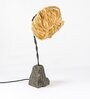 Freefall with Coco Flower Table Lamp