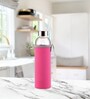 Pink Fuzz 610ml Borosilicate Glass (Set of 2) Water Bottle
