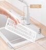 Freezer Safe Medium Storage Box