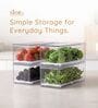 Freezer Safe Medium Storage Box