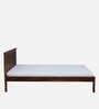 Freya Sheesham Wood King Size Bed In Provincial Teak Finish