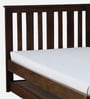 Freya Sheesham Wood Single Bed In Provincial Teak Finish With Trundle