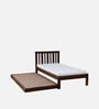 Freya Sheesham Wood Single Bed In Provincial Teak Finish With Trundle