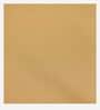 Fribourg Swing Cum Bed In Beige Finish