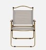 Frolic Fabric Folding Chair In Brown Finish