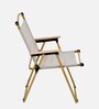 Frolic Fabric Folding Chair In Brown Finish