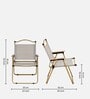 Frolic Fabric Folding Chair In Brown Finish