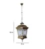 Zreni Frost Antique Gold Aluminium Hanging Light
