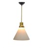 Frost Cone Vintage Adjustable Hanging Pendant Light with White Frosted Glass Shade