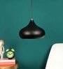 Erika Frosted Black and Gold Iron Hanging Light