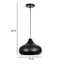 Erika Frosted Black and Gold Iron Hanging Light