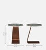 Fuji Marble Top End Tables In Green & Brown Colour