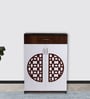 Full Shoe Cabinet in Brown Teak & White Finish
