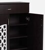 Full Shoe Cabinet in Wenge Finish