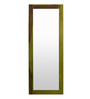 Green Solid Wood Full Length Mirror