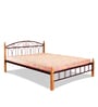 Metallika Georgia King Size Bed in Maroon Colour