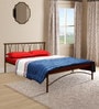Metallika Washington King Size Bed in Brown Colour