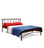 Metallika Washington King Size Bed in Brown Colour