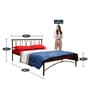 Metallika Washington King Size Bed in Brown Colour