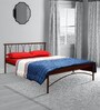 Metallika Washington King Size Bed in Brown Colour