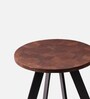 Fusion Forte Metal End Table In Dark Brown & Black  Colour