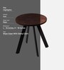 Fusion Forte Metal End Table In Dark Brown & Black  Colour