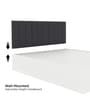 Fusion King Size Bed in Walnut Finish with Box Storage