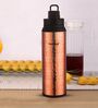 Fusion Plus 600 ml Cooper Stainless Steel & Copper Insulated Bottle