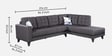 Garcia Sylo Fabric LHS Sectional Sofa ( 3+ Lounger) In Dark Brown Colour