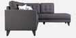Garcia Sylo Fabric LHS Sectional Sofa ( 3+ Lounger) In Dark Brown Colour