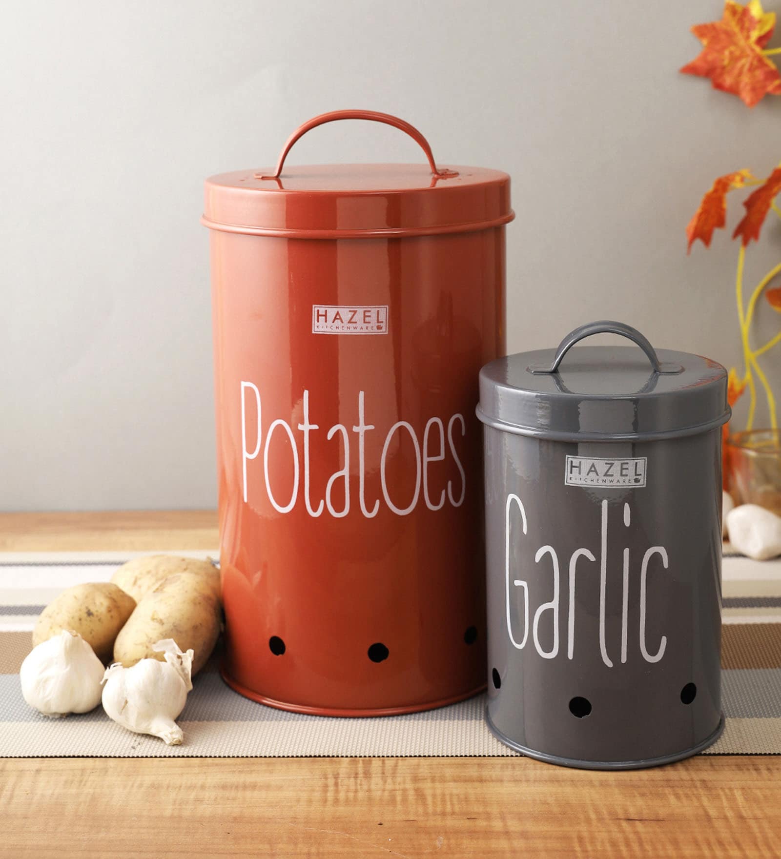 Galvanized Steel Multicolour Airtight Container (Set of 2 )