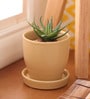 Beige Cermaic Glazed Table Top Planter