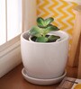 White Cermaic Glazed Table Top Planter
