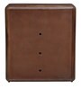 Gala Solid Wood Shoe Cabinet in Rustic Teak Finish