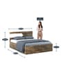 Galaxy King Size Bed with Storage In Choco Oak Colour